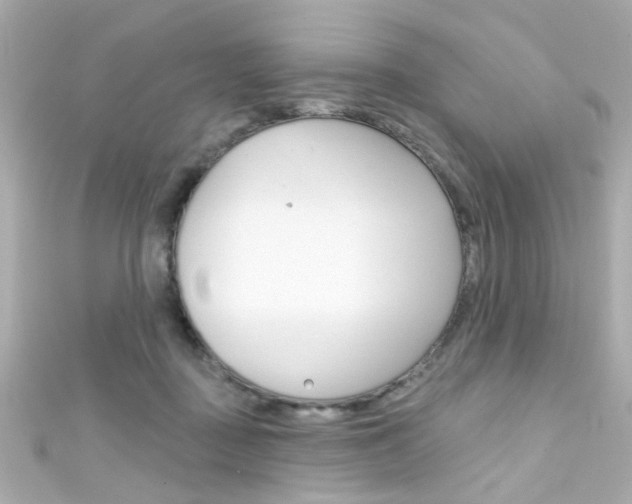 X0000111590363200907161158