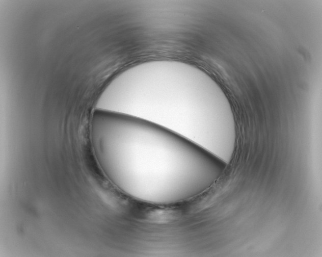 X0000111590364200907161158
