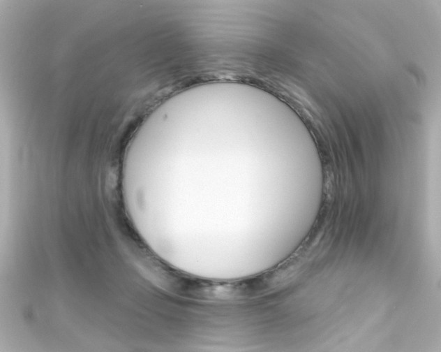 X0000111590365200907161158