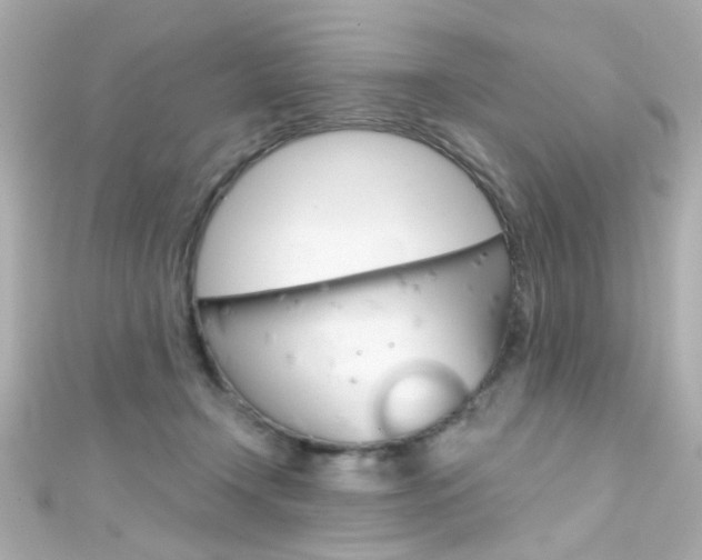X0000111590366200907161158