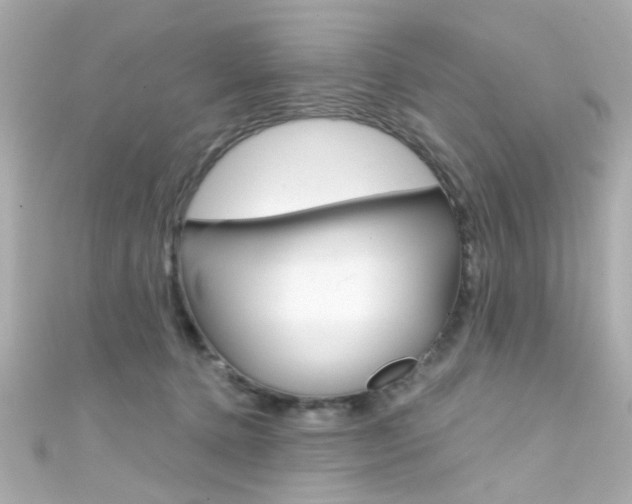 X0000111590368200907161158