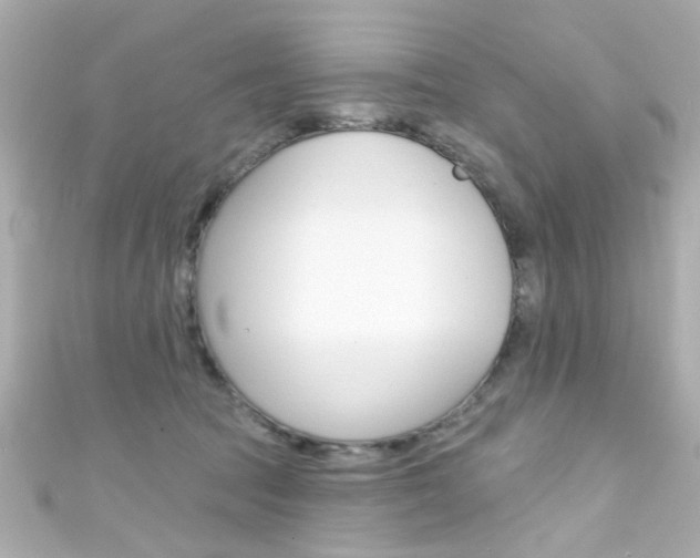 X0000111590369200907161158