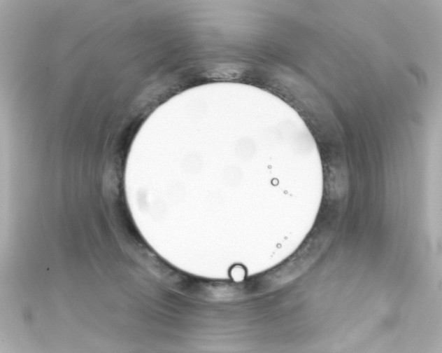 X0000111590370200907161158