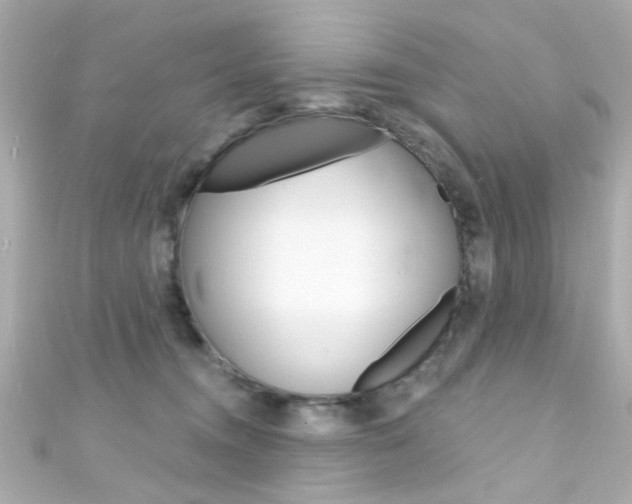 X0000111590372200907161158