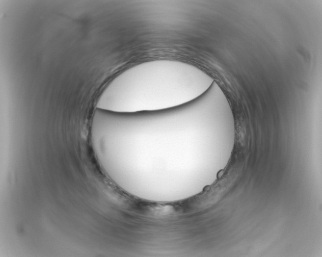 X0000111590374200907161158