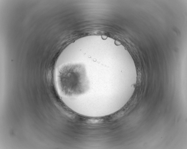 X0000111590375200907161158