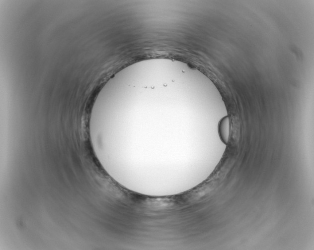 X0000111590378200907161158