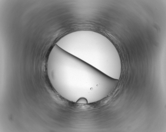 X0000111590379200907161158