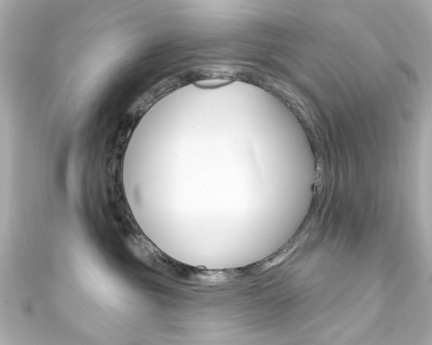 X0000111590381200907161158