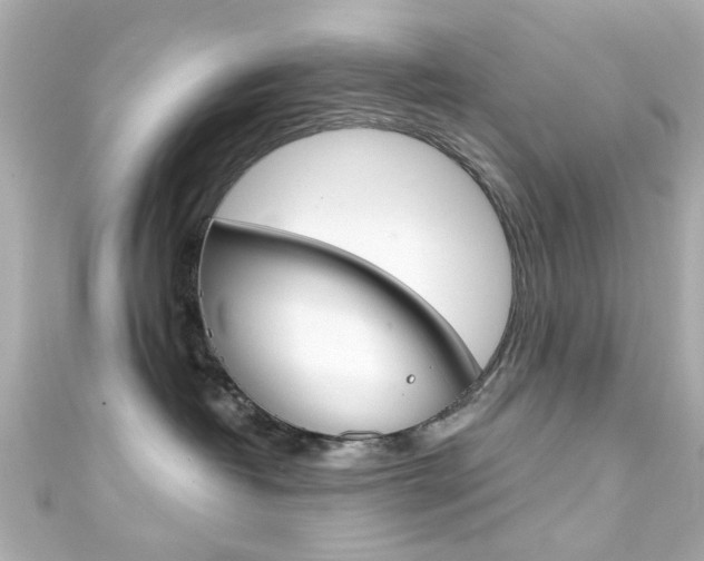 X0000111590382200907161158