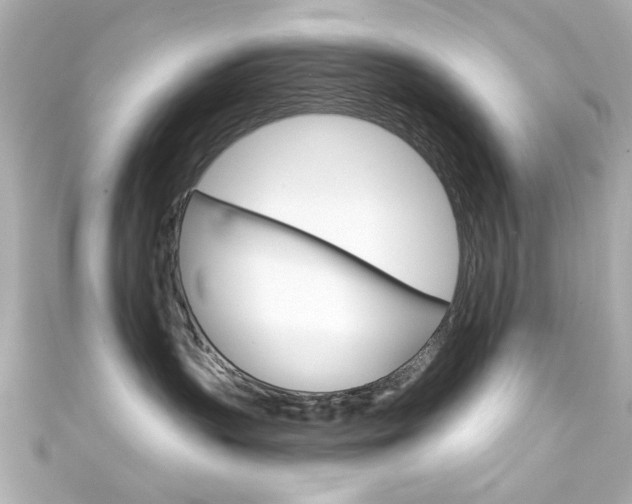 X0000111590383200907161158