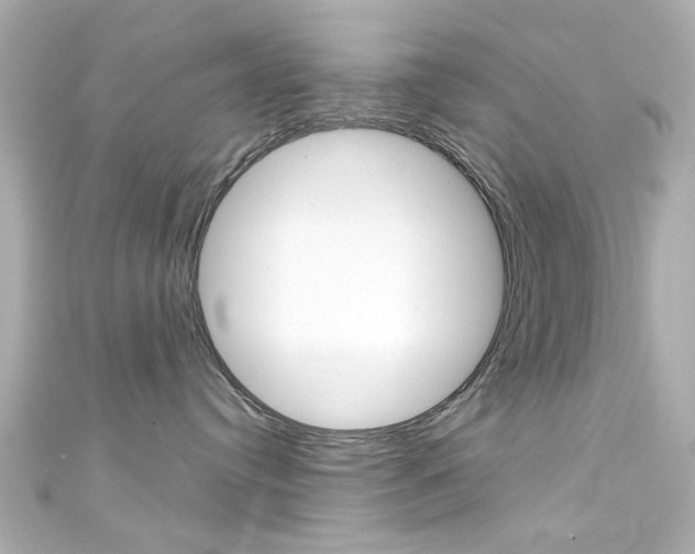 X0000111590384200907161158