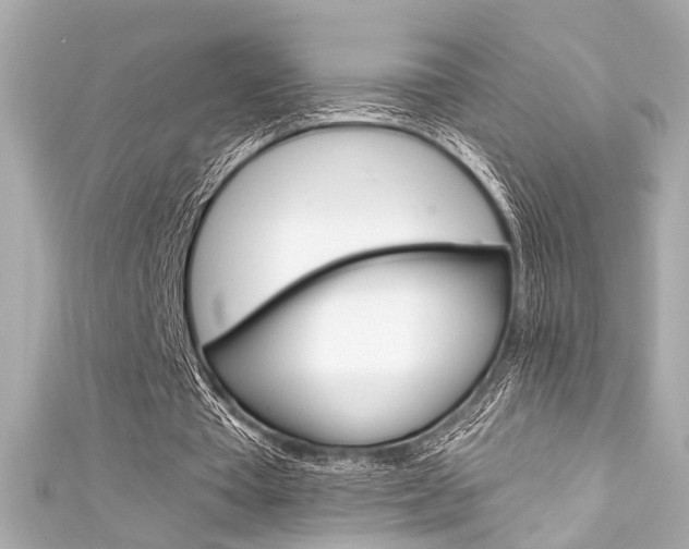 X0000111590385200907161157