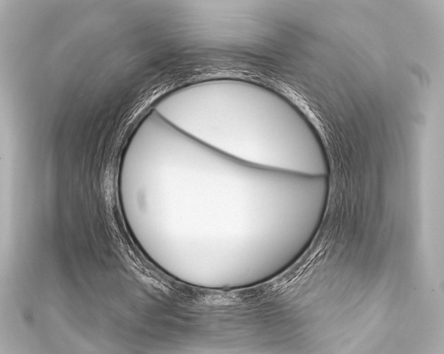 X0000111590386200907161157
