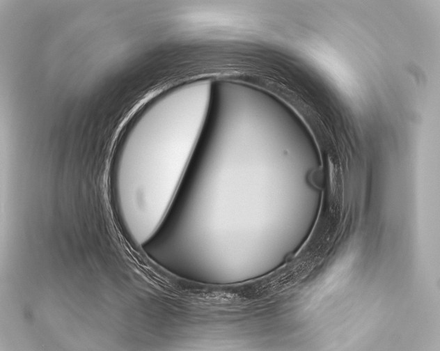 X0000111590387200907161157