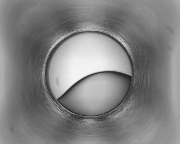 X0000111590391200907161157