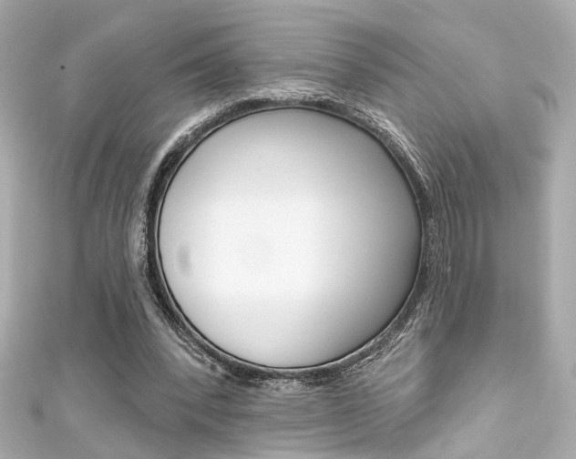 X0000111590392200907161157