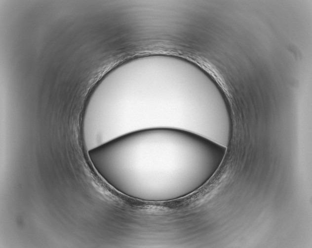 X0000111590393200907161157