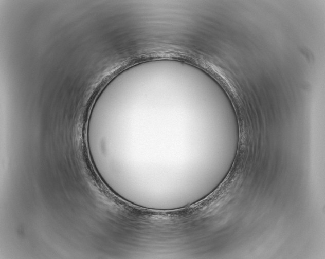 X0000111590394200907161157