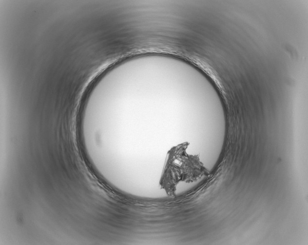 X0000111590395200907161157