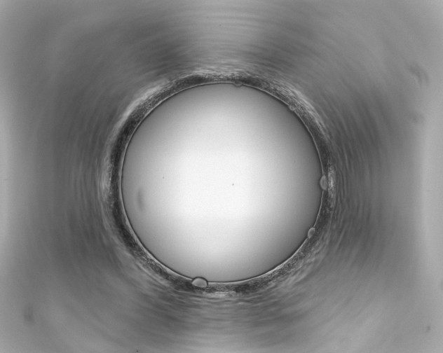 X0000111590396200907161157