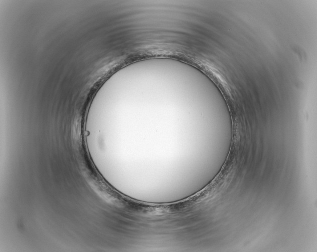 X0000111590398200907161157