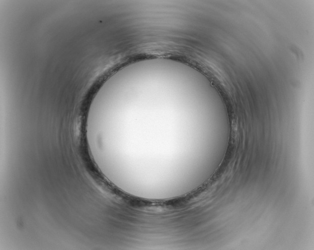 X0000111590404200907161157