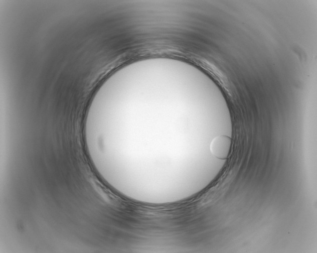 X0000111590405200907161157