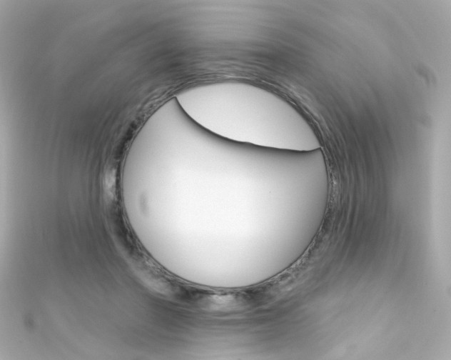 X0000111590406200907161157