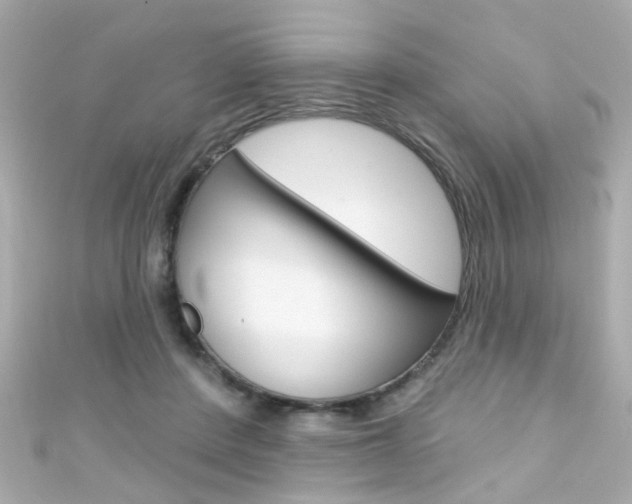 X0000111590408200907161157
