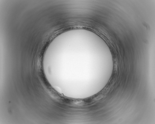 X0000111590410200907161157