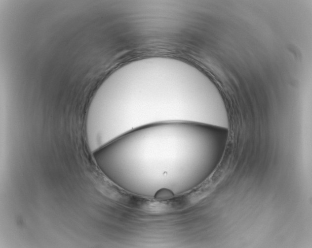 X0000111590413200907161157
