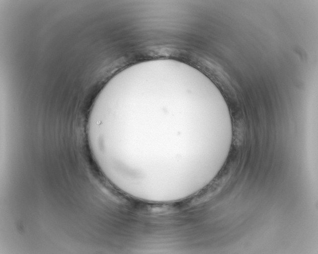 X0000111590414200907161157