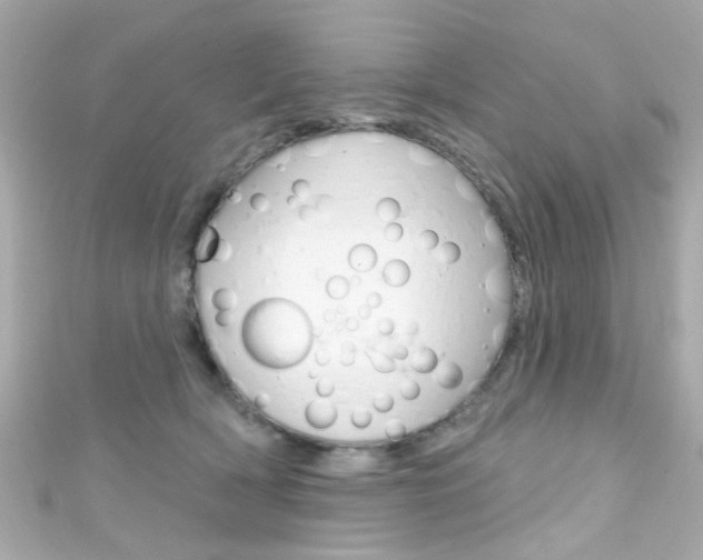 X0000111590418200907161157