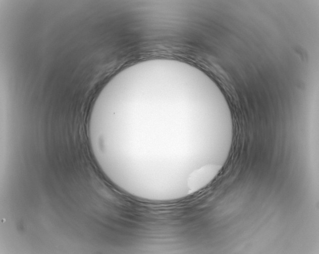 X0000111590419200907161157