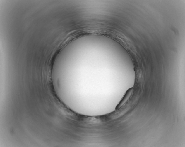 X0000111590421200907161157