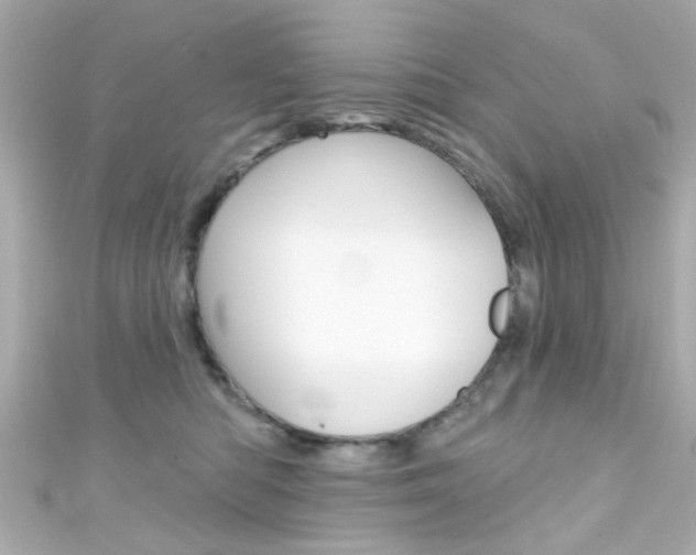 X0000111590422200907161157