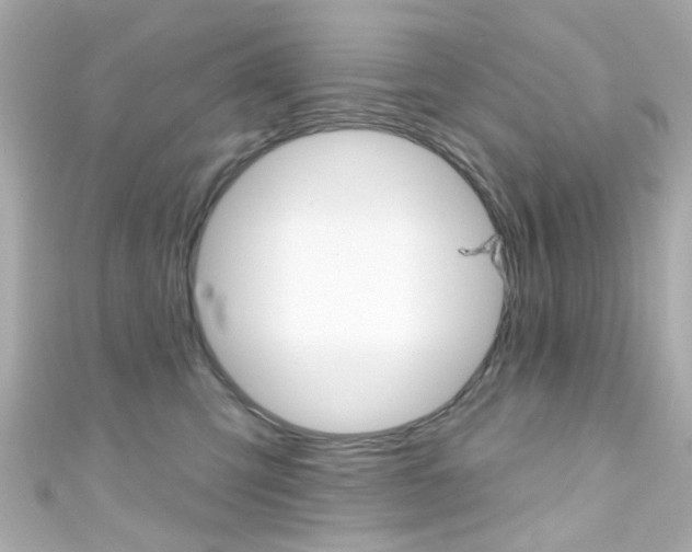 X0000111590423200907161157