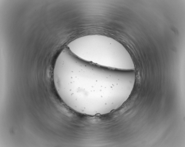 X0000111590424200907161157