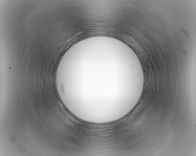 X0000111590425200907161157