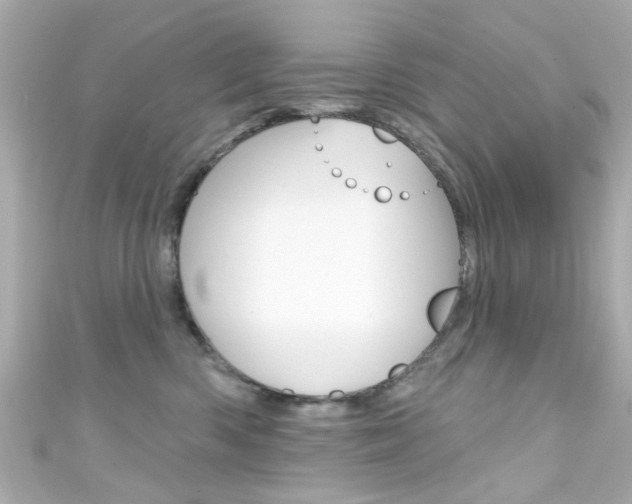 X0000111590426200907161157