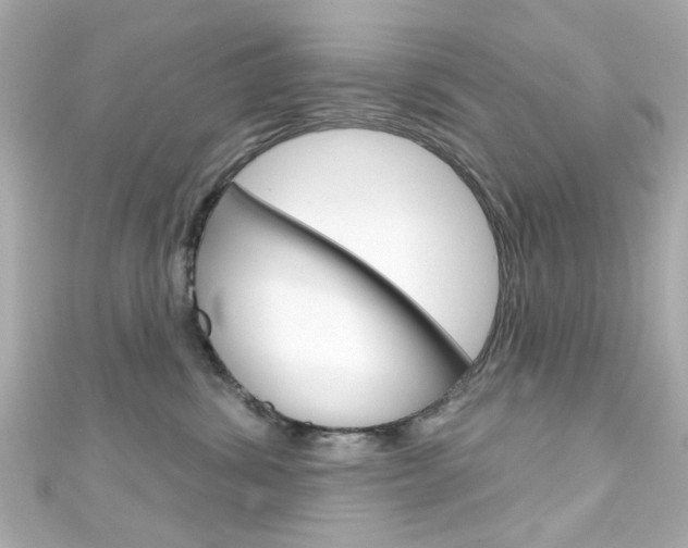 X0000111590428200907161157