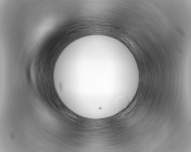 X0000111590429200907161157