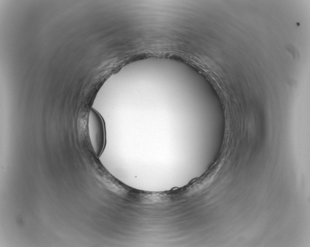 X0000111590432200907161157