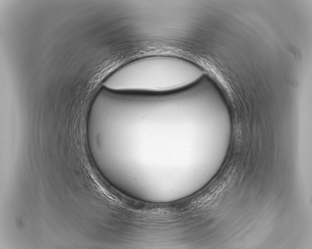 X0000111590433200907161156