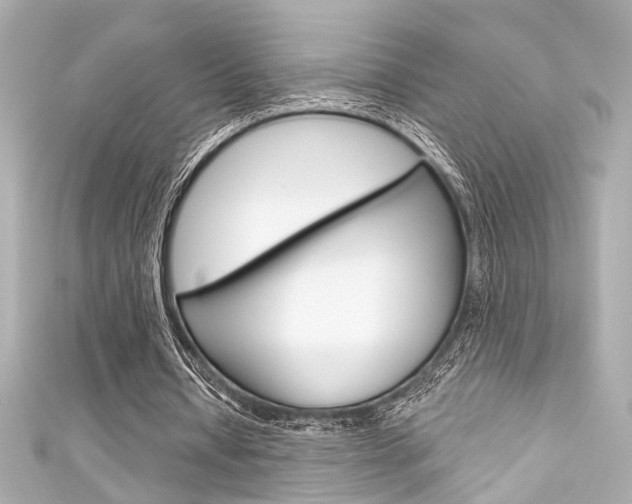 X0000111590434200907161156