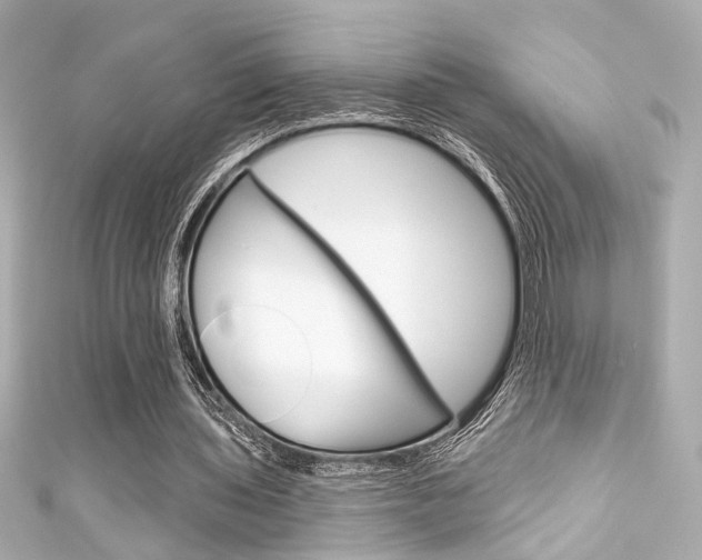 X0000111590435200907161156