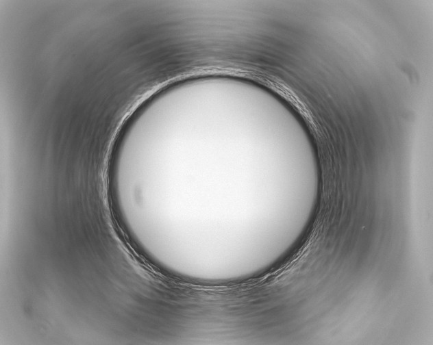 X0000111590436200907161156