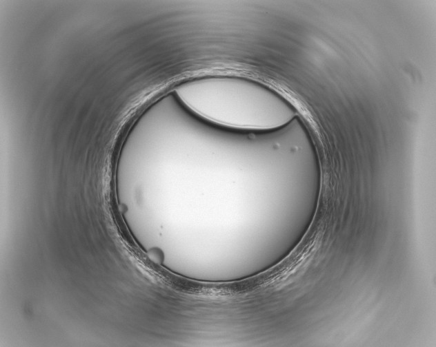 X0000111590437200907161156