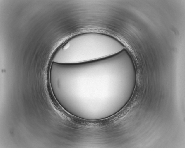 X0000111590438200907161156